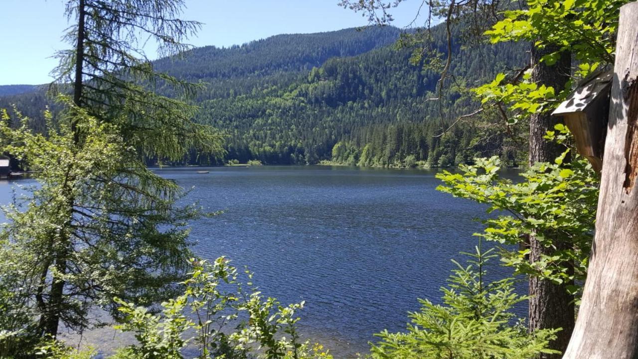 Obersdorf Ferienwohnung Grimmingblick - Auszeit Vom Alltag מראה חיצוני תמונה